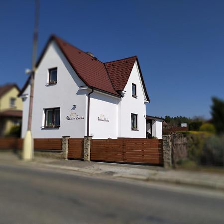 Penzion Burda Sepekov Exterior foto